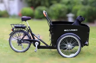 Un vélo cargo électrique triporteur noir avec un bac à l'avant.